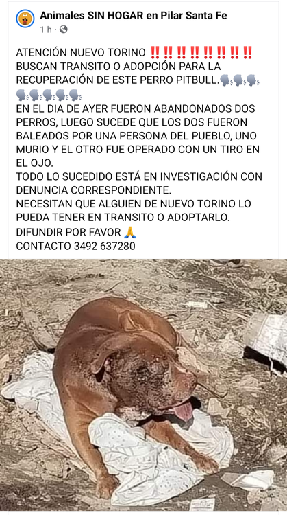 Screenshot_20230515-132840-616