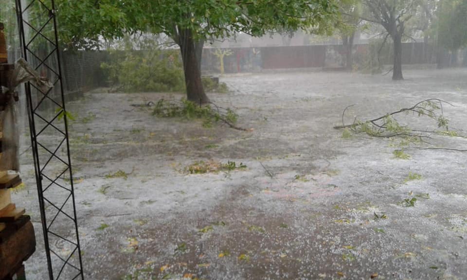 57053773_2530561286956162_3950759971129393152_n