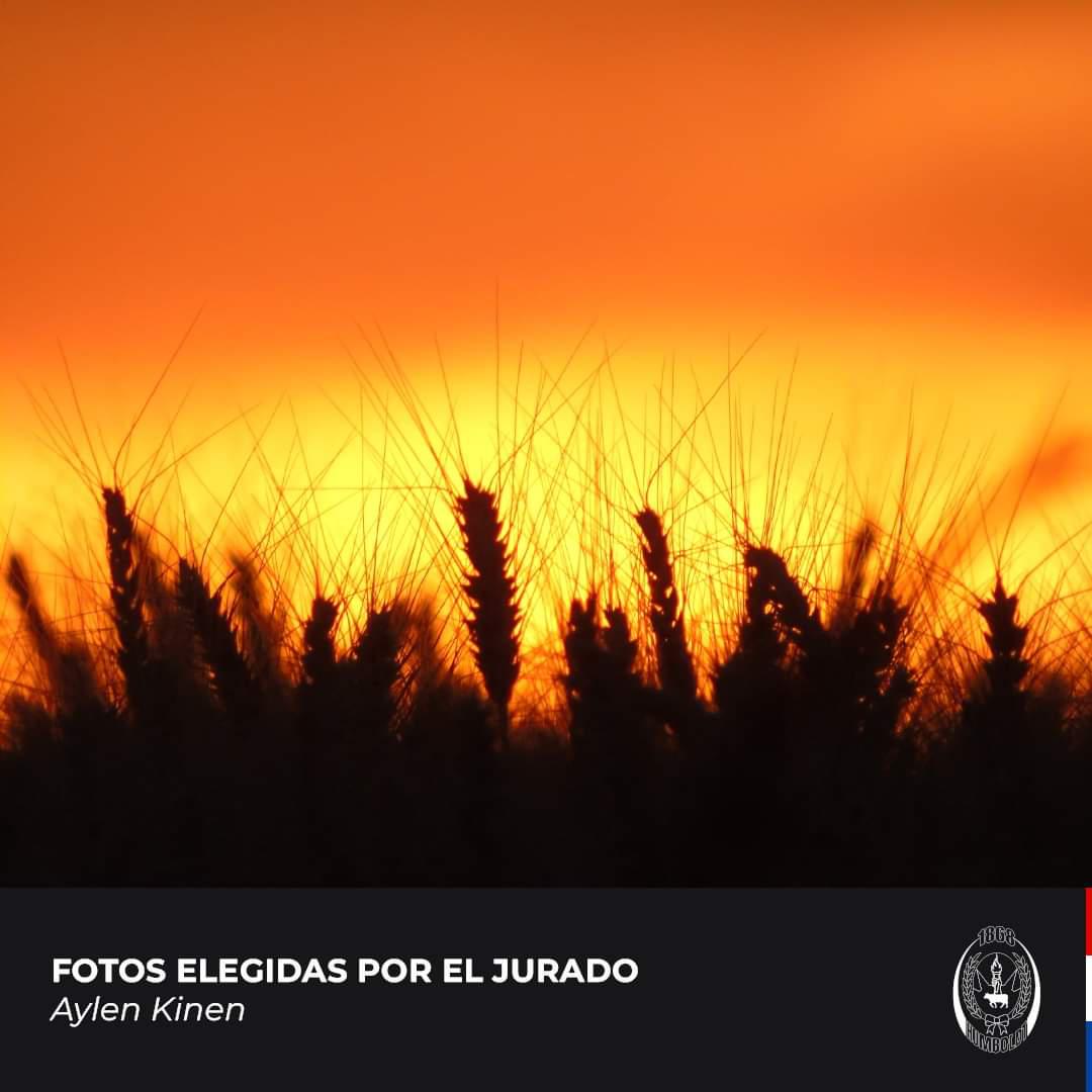 FB_IMG_1674938519223