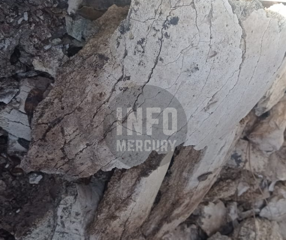 Diseño sin título (4)