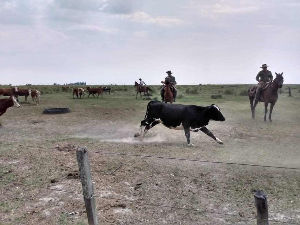 FB_IMG_1644763099369