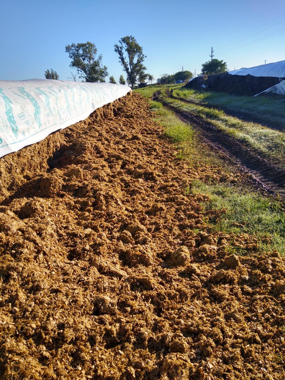 WhatsApp Image 2021-04-13 at 10.23.40 (1)