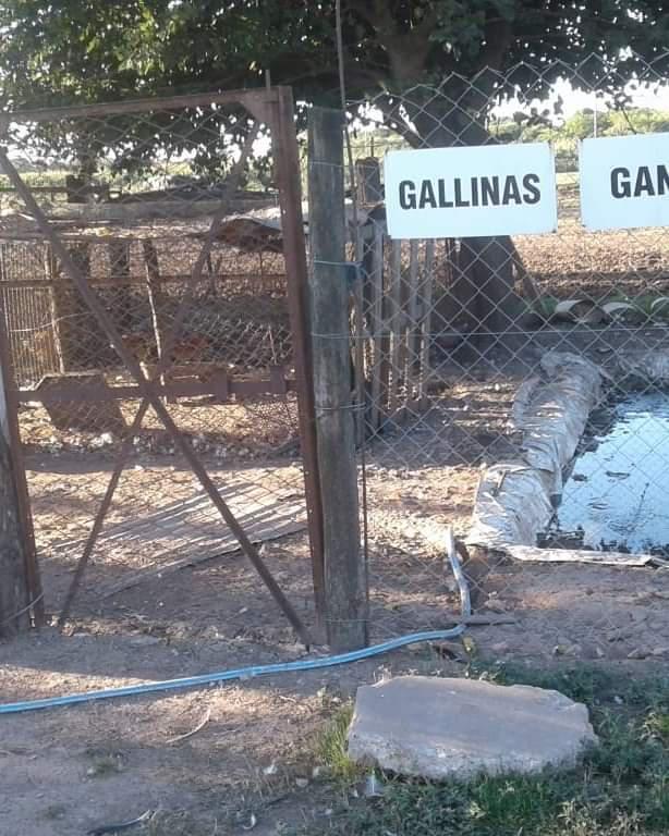 FB_IMG_1618003277268