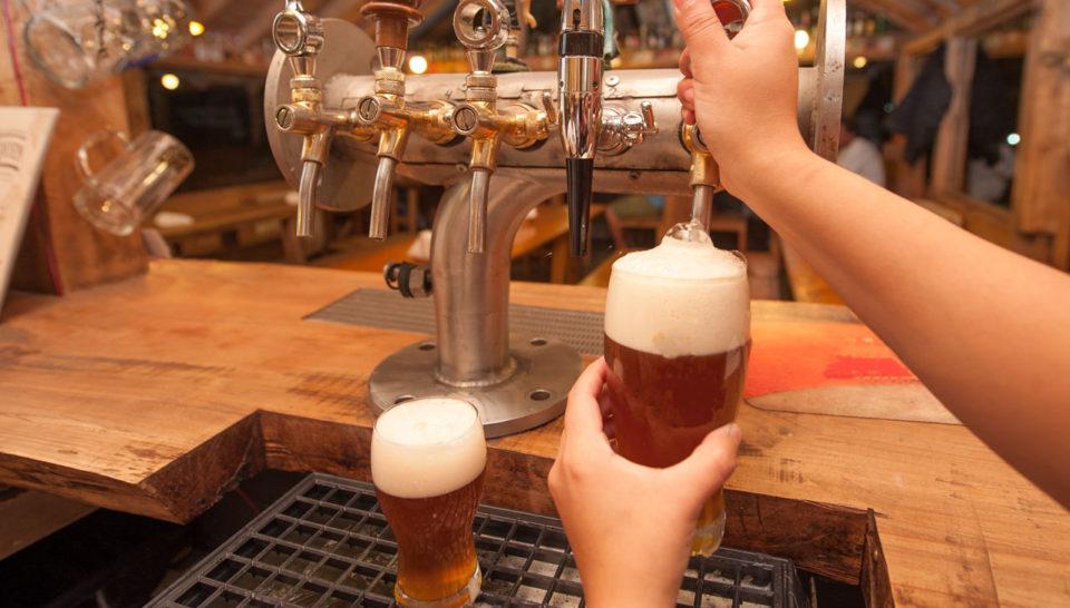 Festival-Provincial-de-la-Cerveza-Artesanal-Alumine