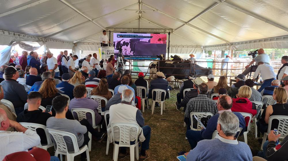 PRESENCIA EN EXPOSICIONES (2)