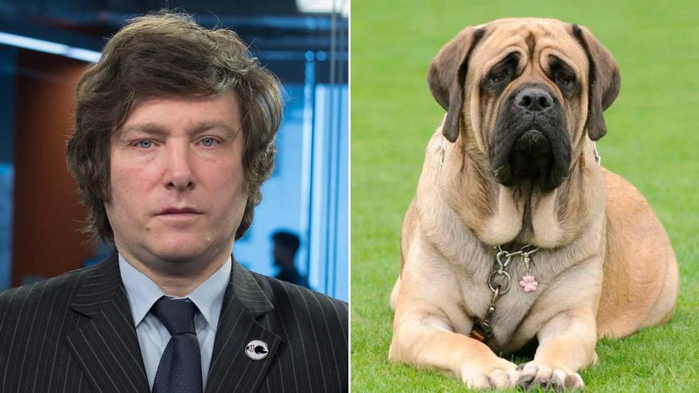 Q22RI7O3YJGNLMSL65BOQ2BXSM