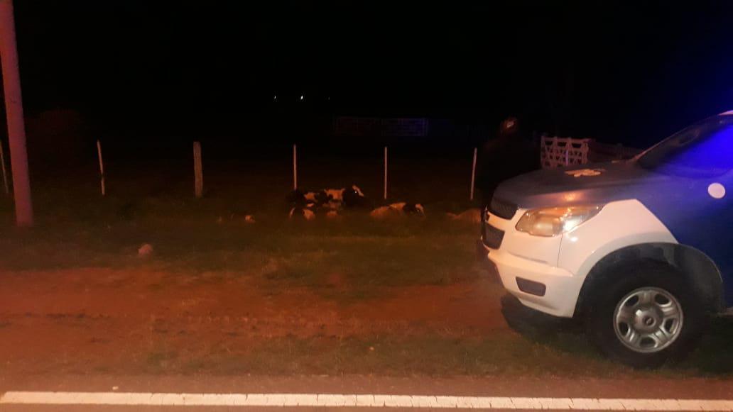 tentativo de robo ganado