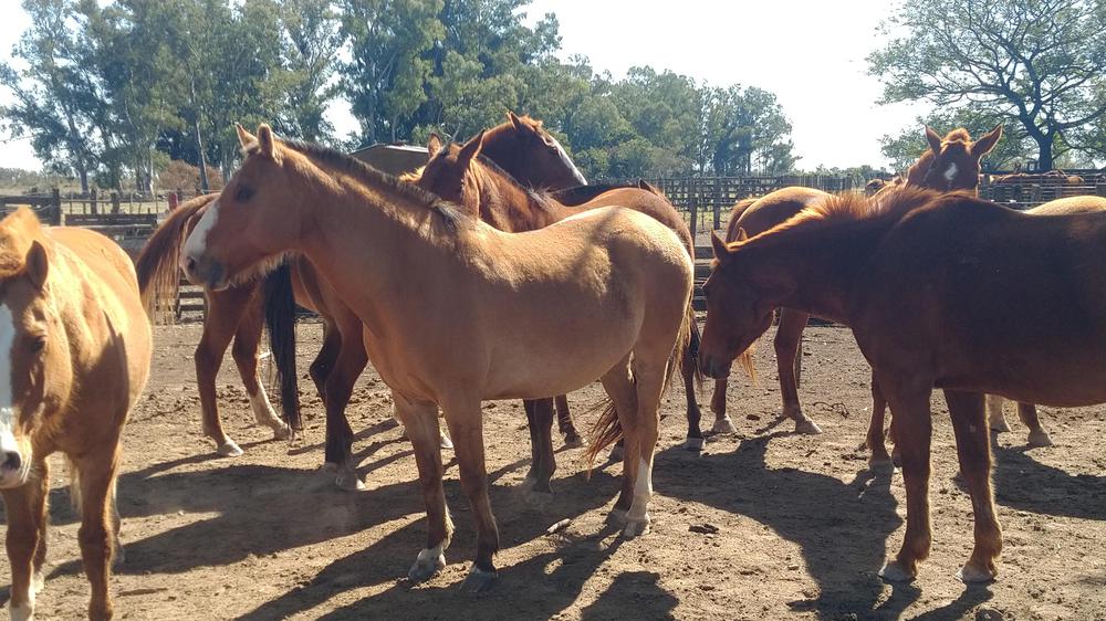 IMG_20220904_111705295