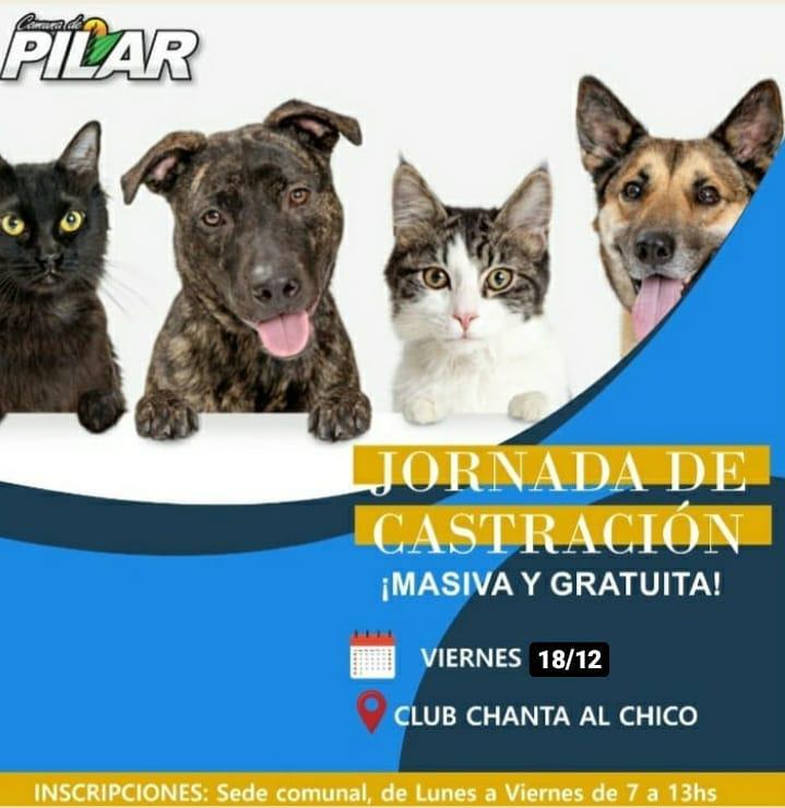 129651376_1559640377579775_2193552430227439158_n