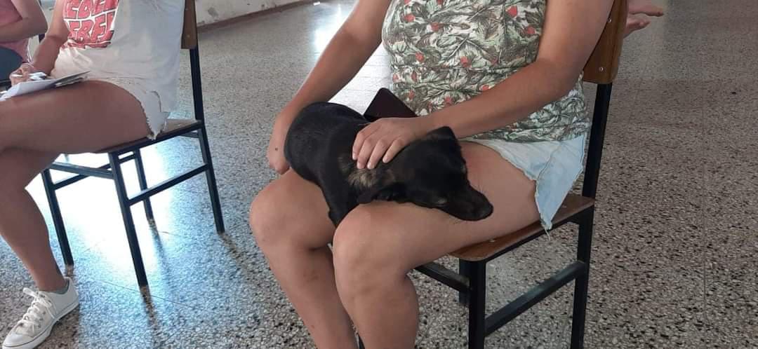 FB_IMG_1606957919081