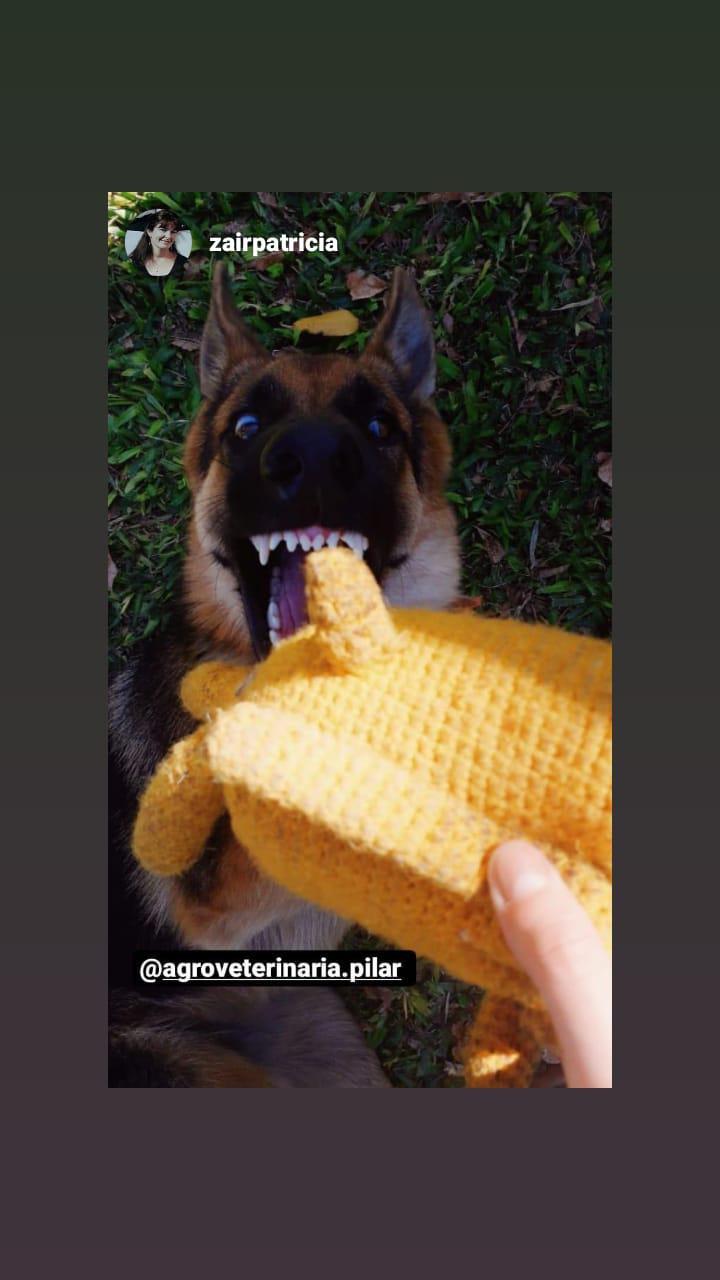 97526941_691341964932120_5529936441330630656_o