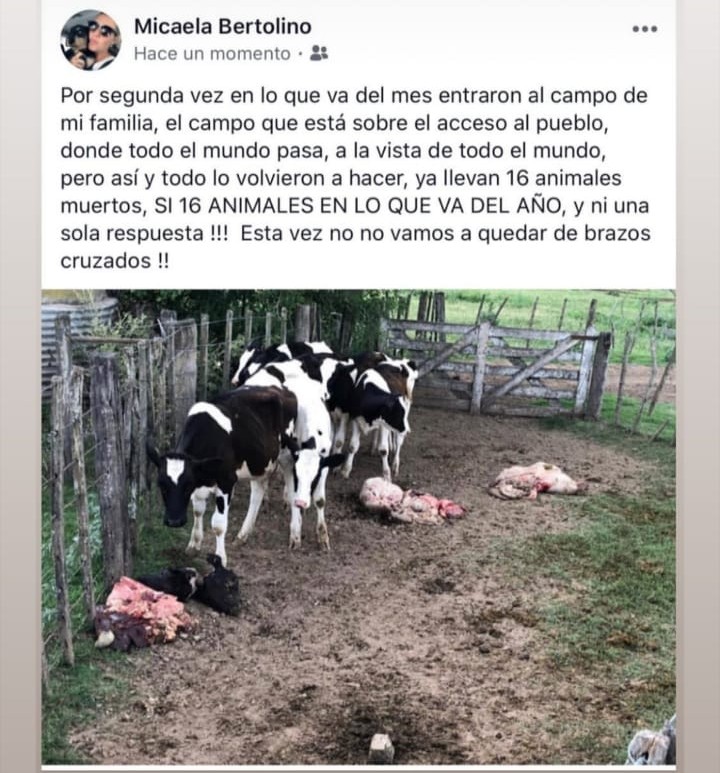 IMG-20191118-WA0020~2