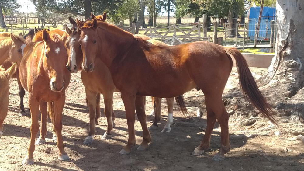 IMG_20220904_111810515