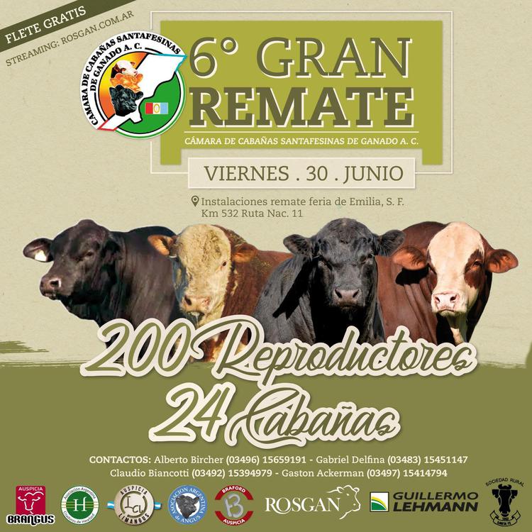 WhatsApp Image 2023-08-03 at 9.32.01 AM (1)