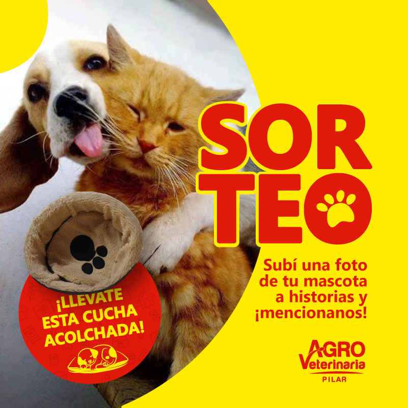 96787903_688458348553815_6011666291146883072_n