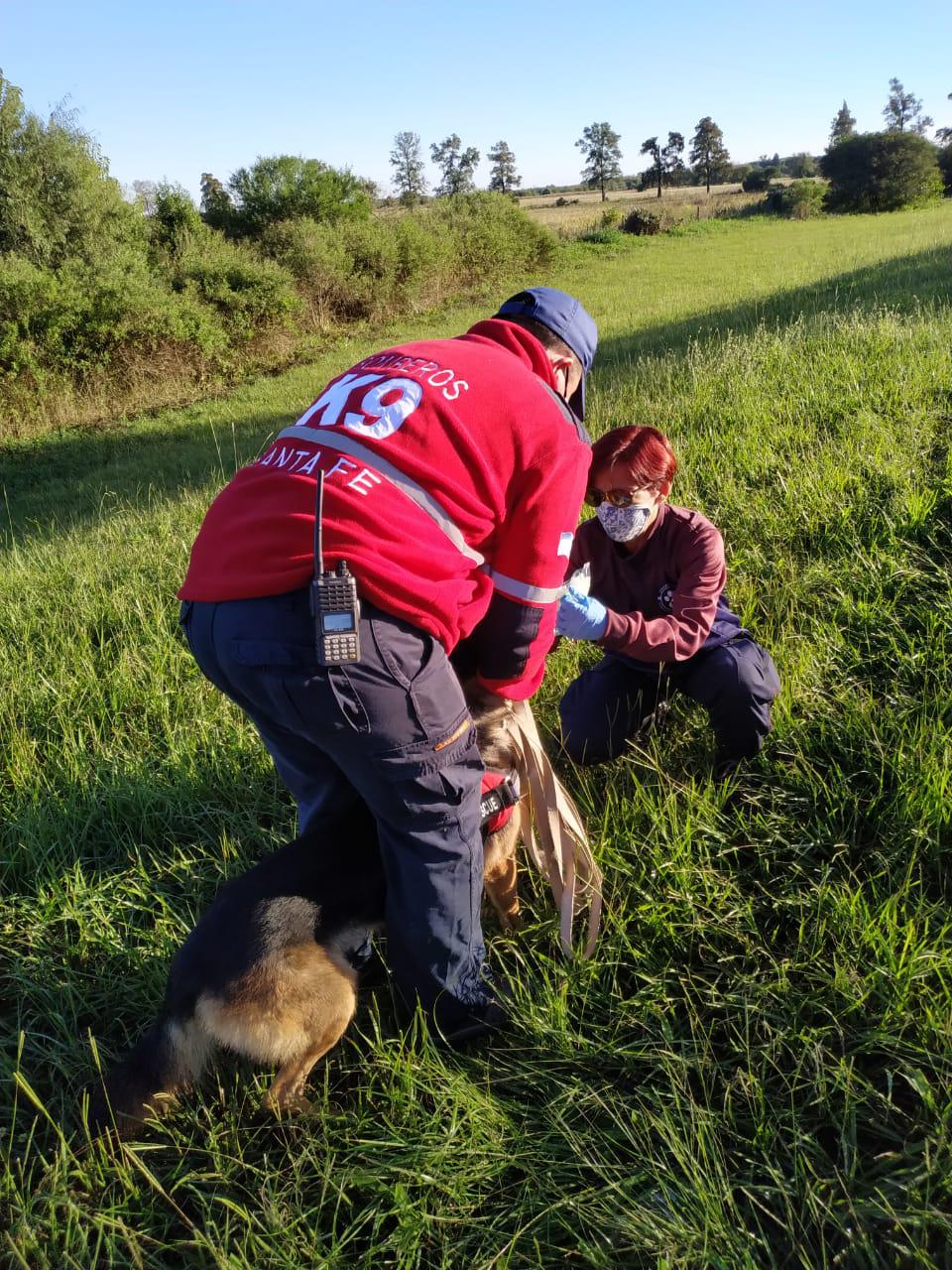 WhatsApp Image 2020-04-29 at 19.42.17