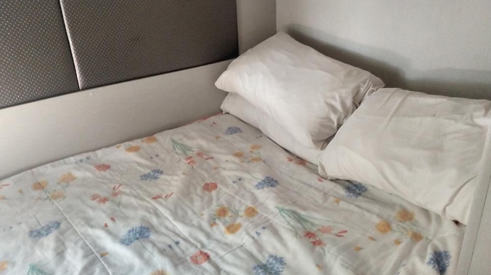 IMG_20200229_125451751_HDR