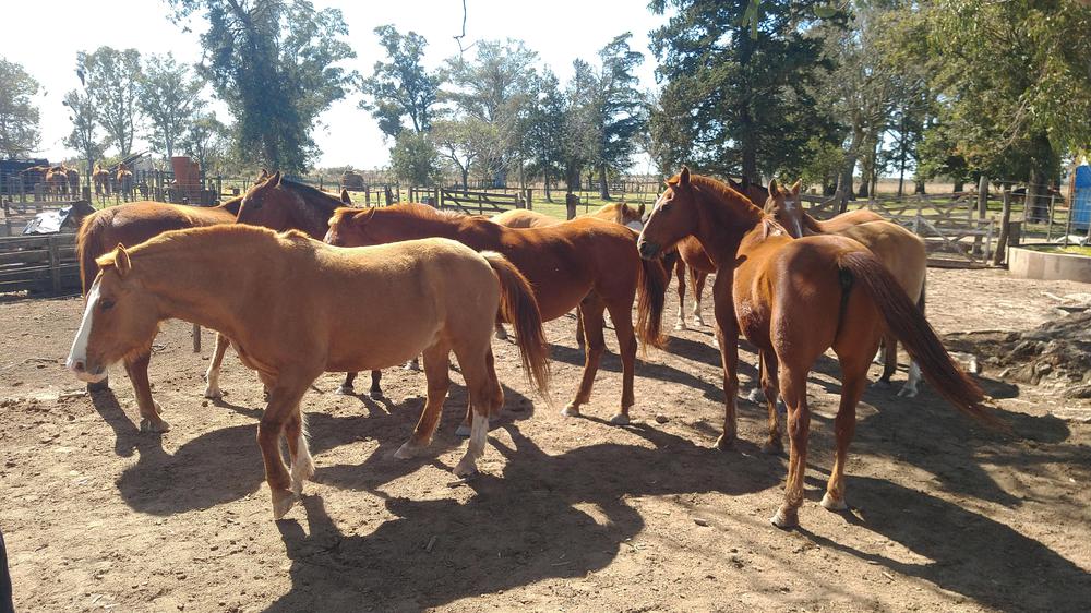 IMG_20220904_111831143