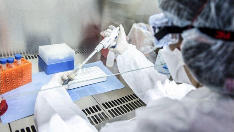 coronavirus.jpg_1756841869