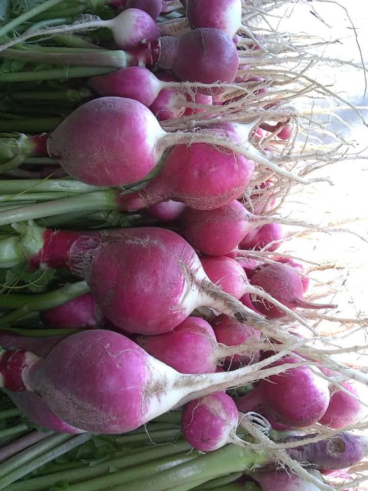 201923604_2910793492520369_5416120156511831409_n