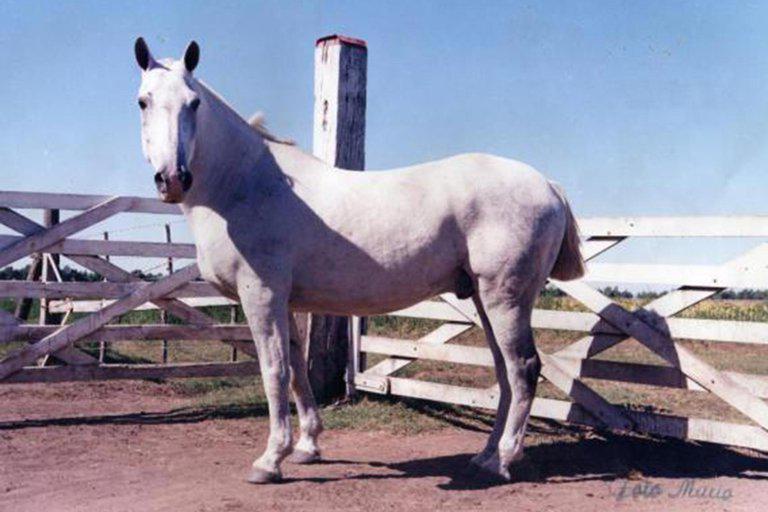 NVWCOOA5LVGPPOXIPZDKY6MJY4