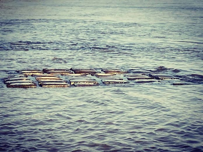 bajante-rio-parana-lecho-del-rio-696x522