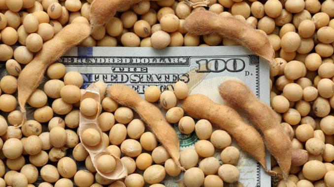 dolares-en-la-soja-678x381
