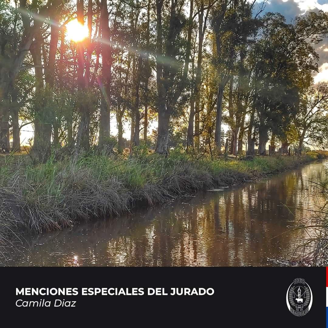 FB_IMG_1674938525537