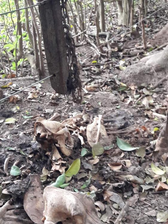 FB_IMG_1682420243344