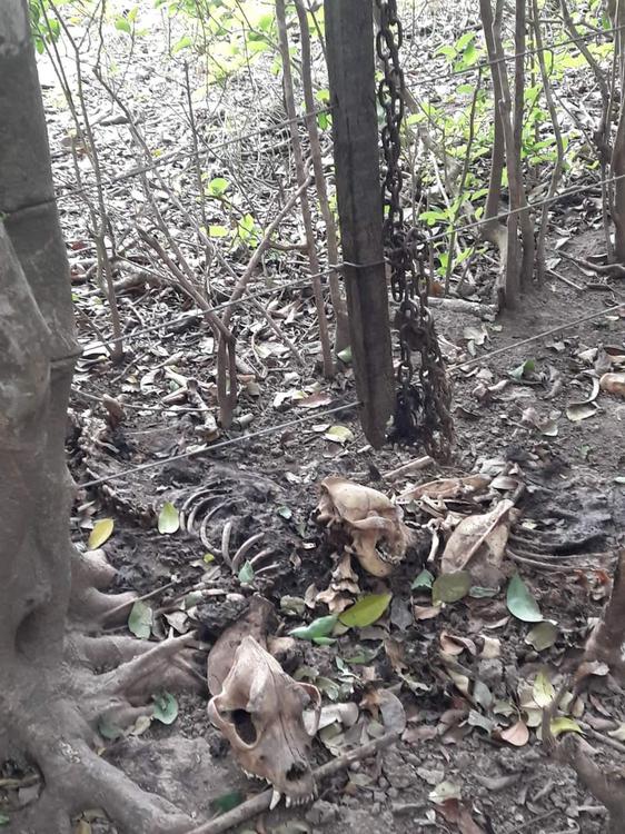 FB_IMG_1682420241056