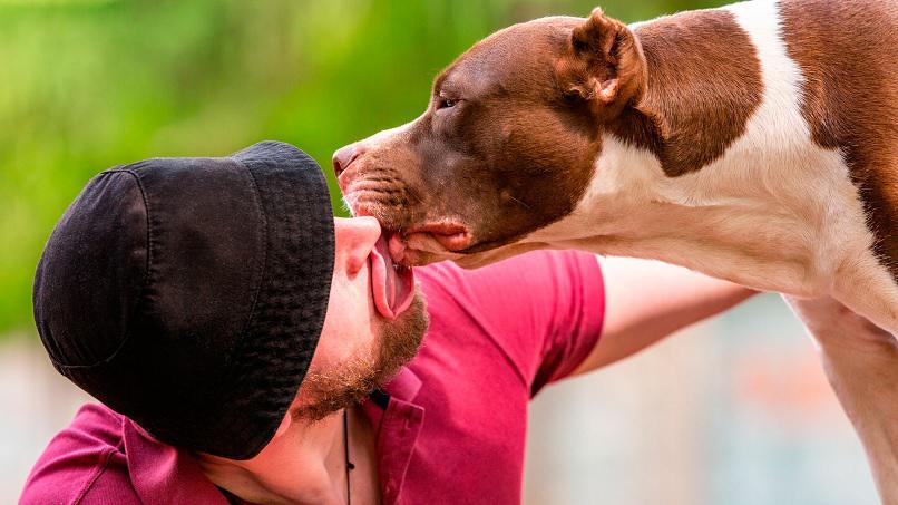 Todas-las-enfermedades-que-los-perros-transmiten-por-la-saliva