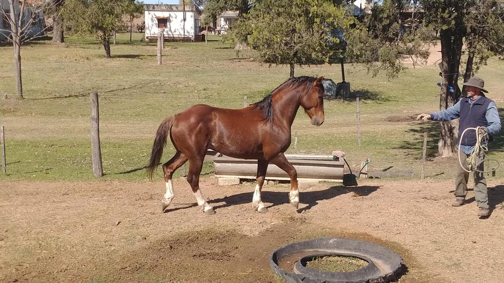 IMG_20220904_110353095