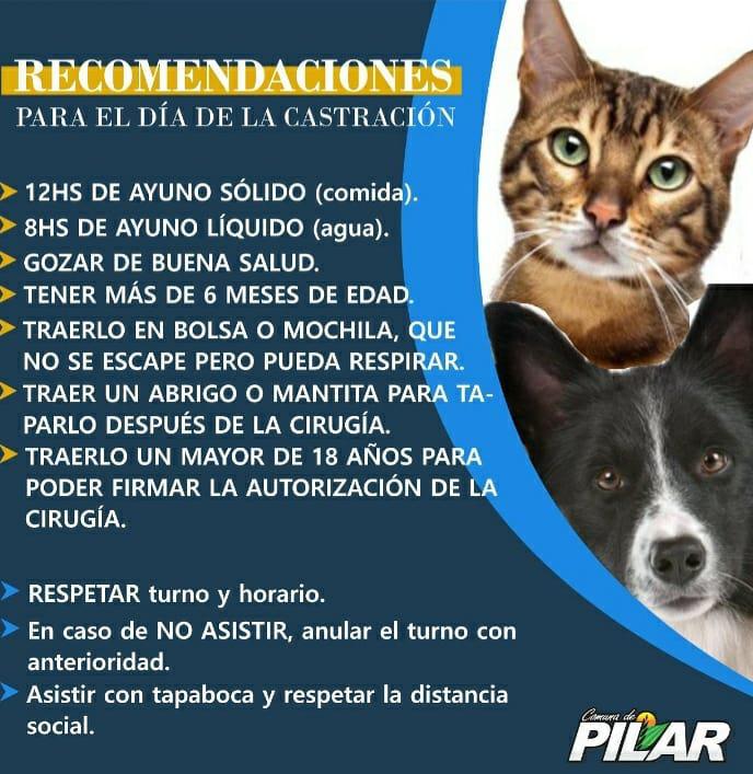 130515202_1559640380913108_362798996488229823_n