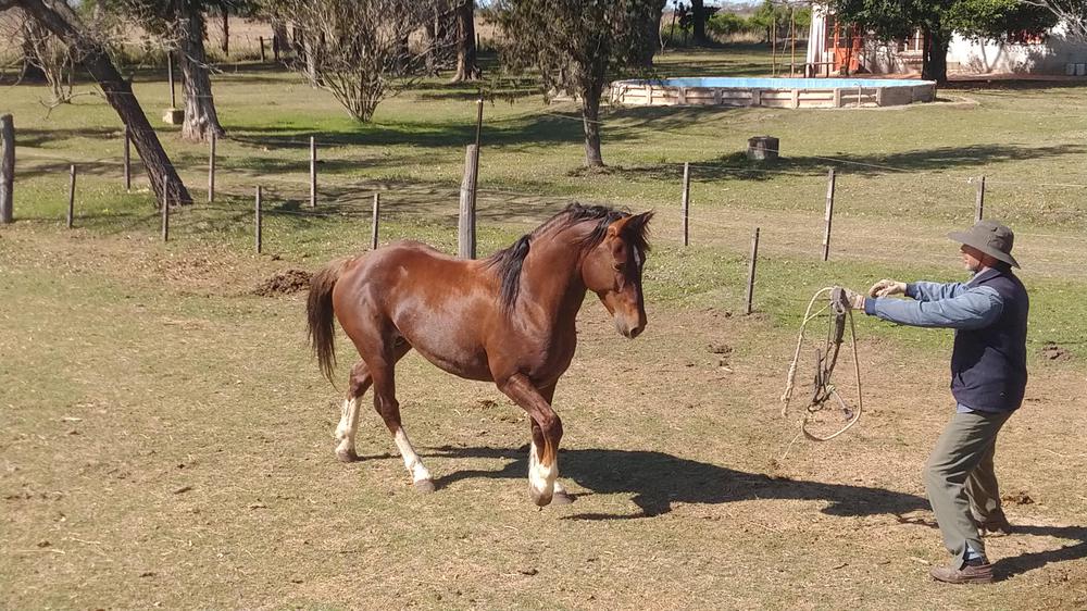 IMG_20220904_110443537