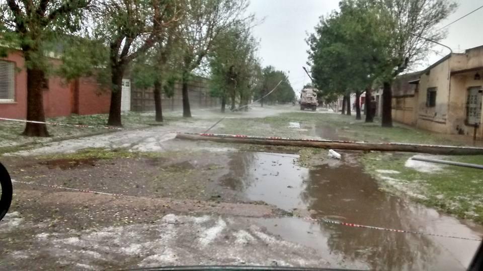 15036472_10208863732805337_5236971788346643756_n