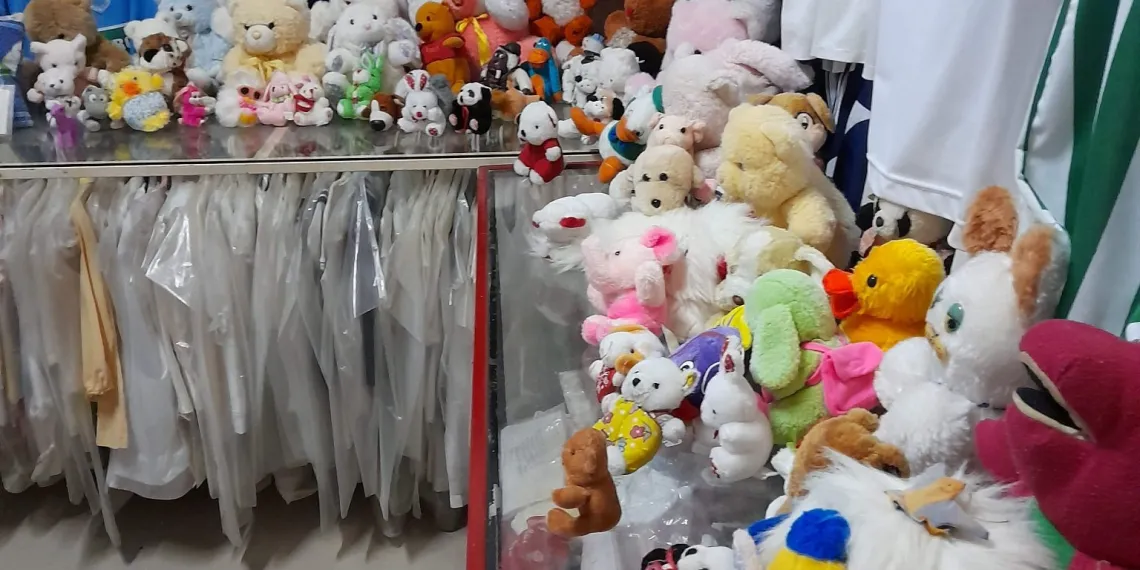 Virgen-del-Milagro-Felicia-12