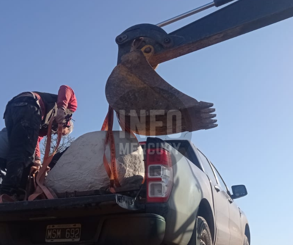 Diseño sin título (6)