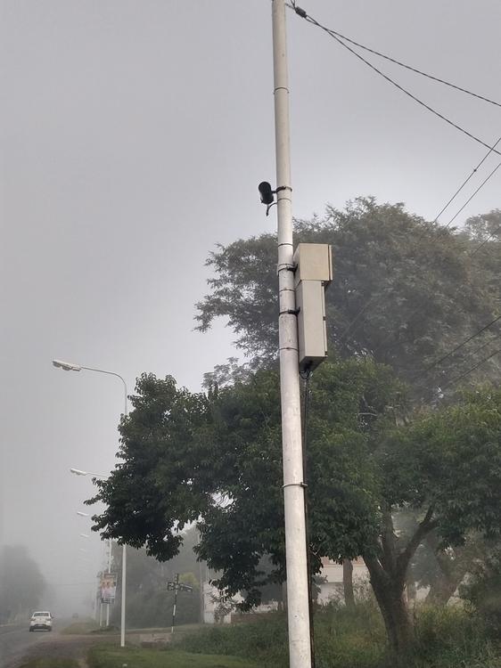 56848174_1007910306067630_8165262553782419456_n