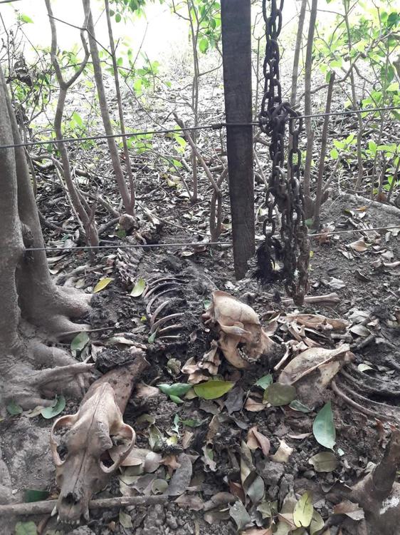 FB_IMG_1682420253425