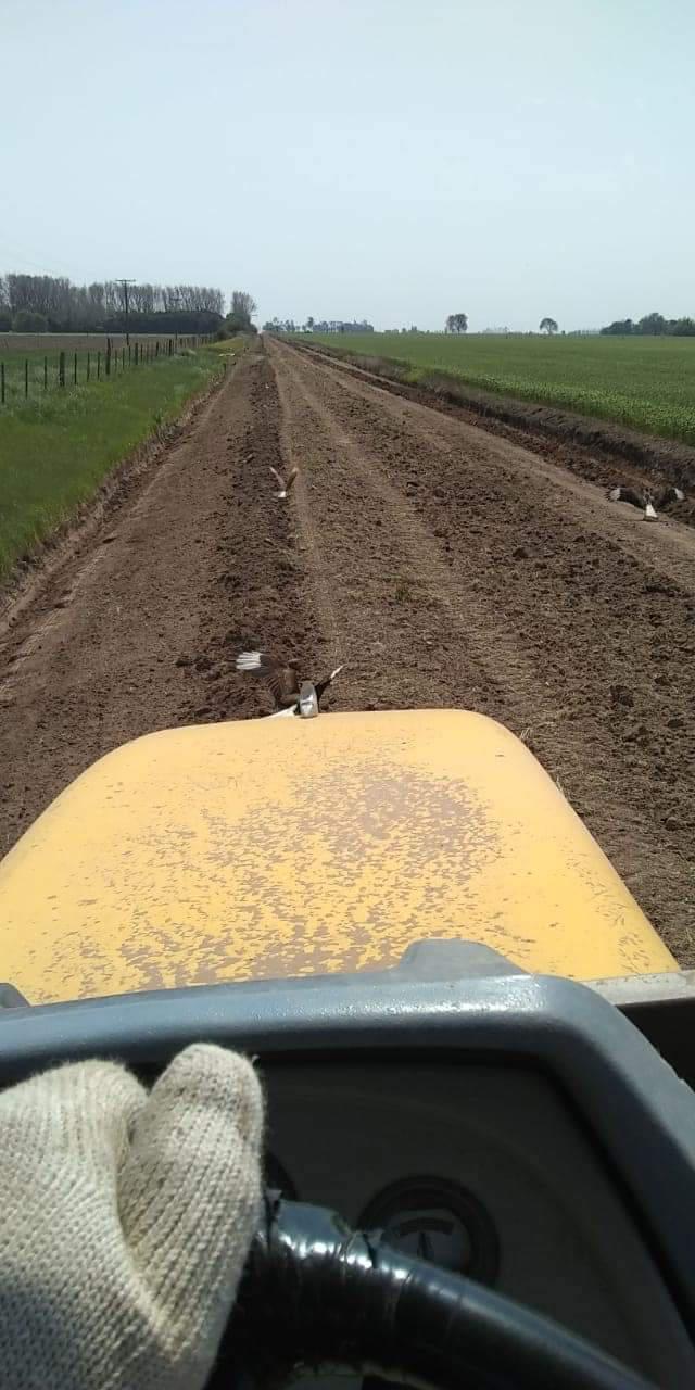 FB_IMG_1609417546896