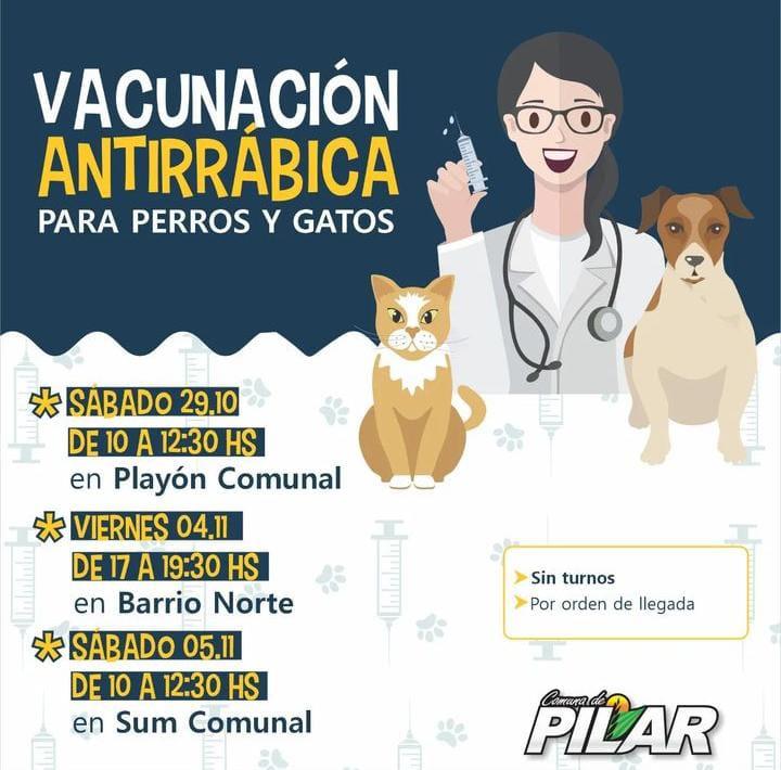 WhatsApp Image 2022-11-02 at 9.38.15 AM