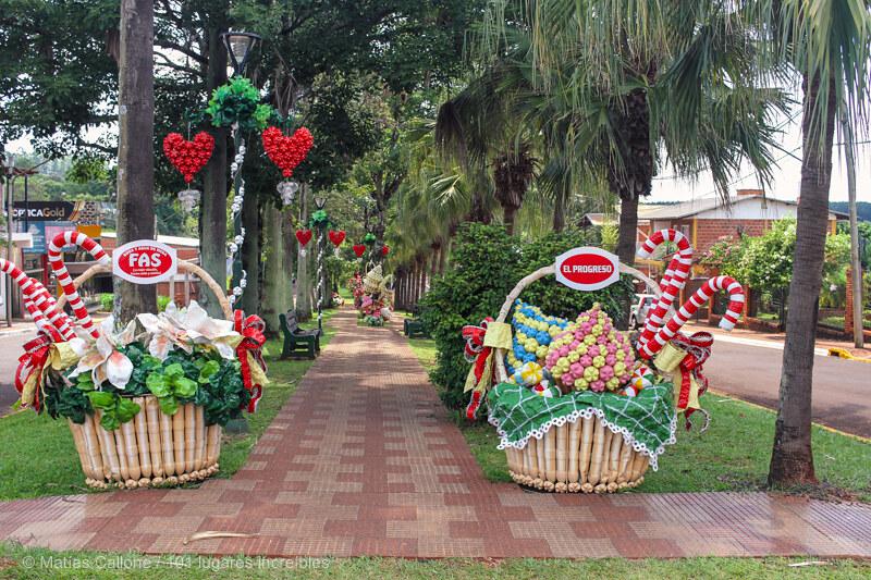 51748150752_2ab1582c28_c