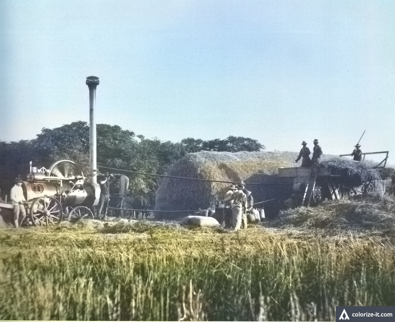 c54861c55f504e056b30f998f664a7a7_5df3adc5-e8bd-4edb-baf4-1765b87b1880