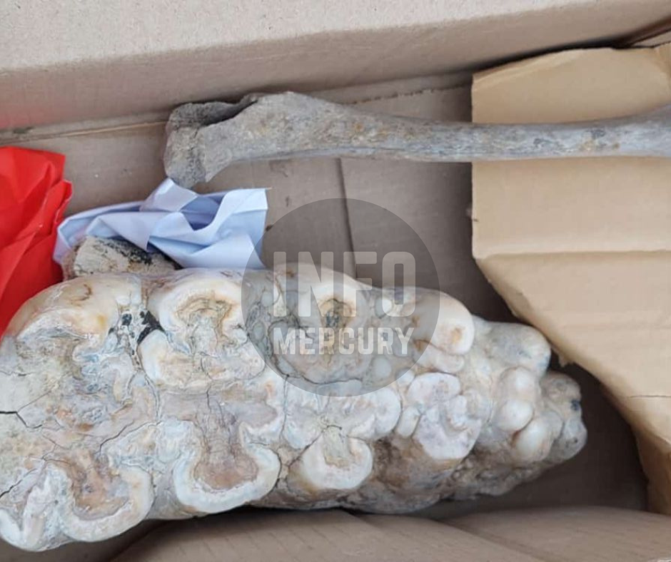 Diseño sin título (2)