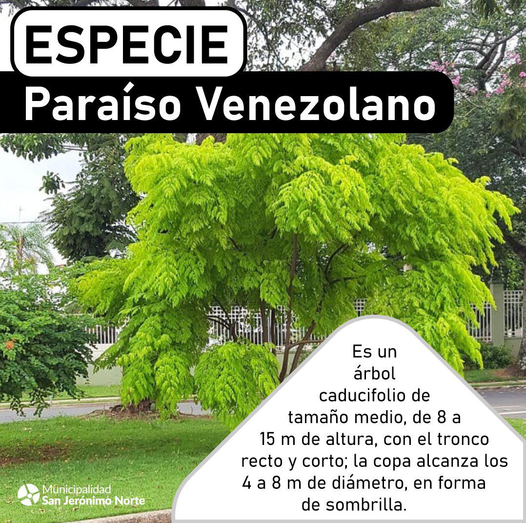 439872522_842065041288826_2143781900313001886_n