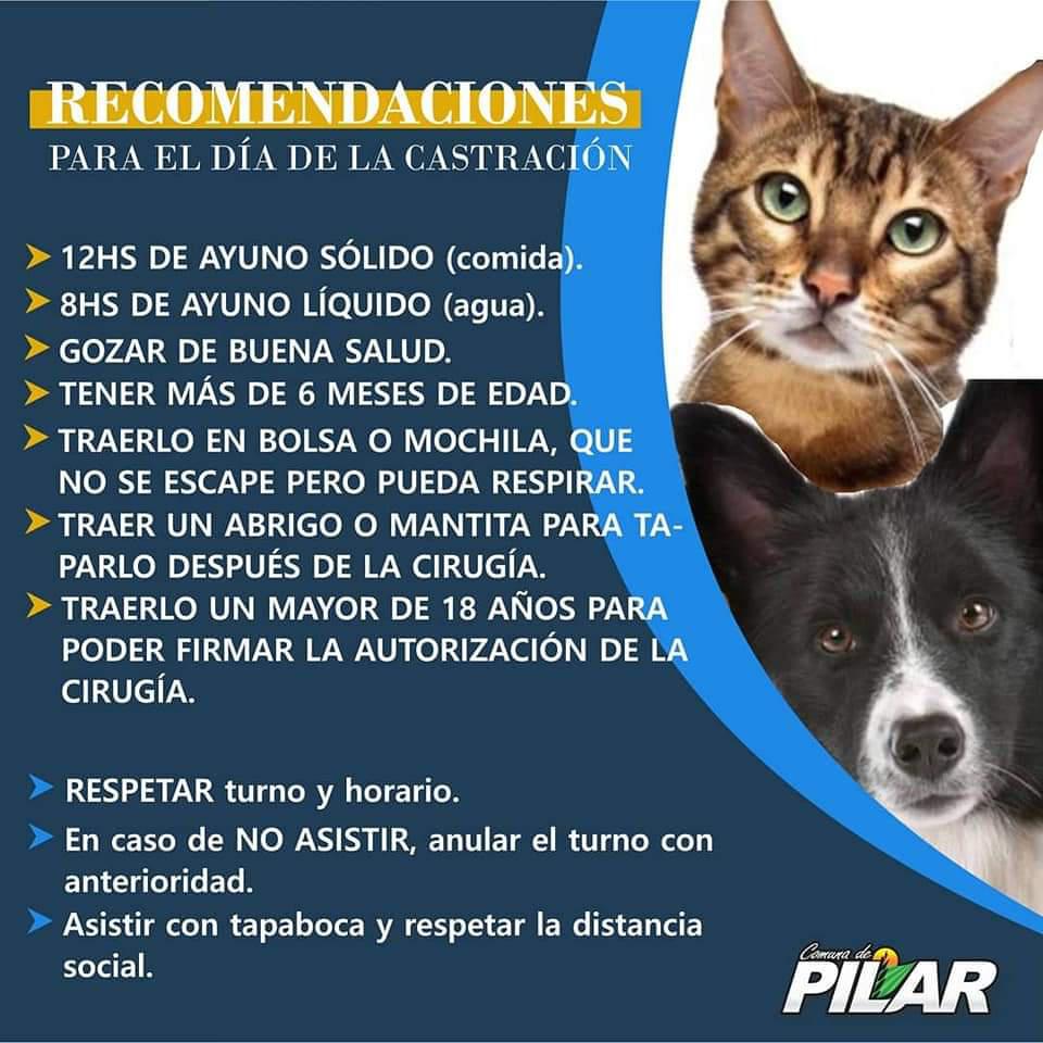 FB_IMG_1605629364794