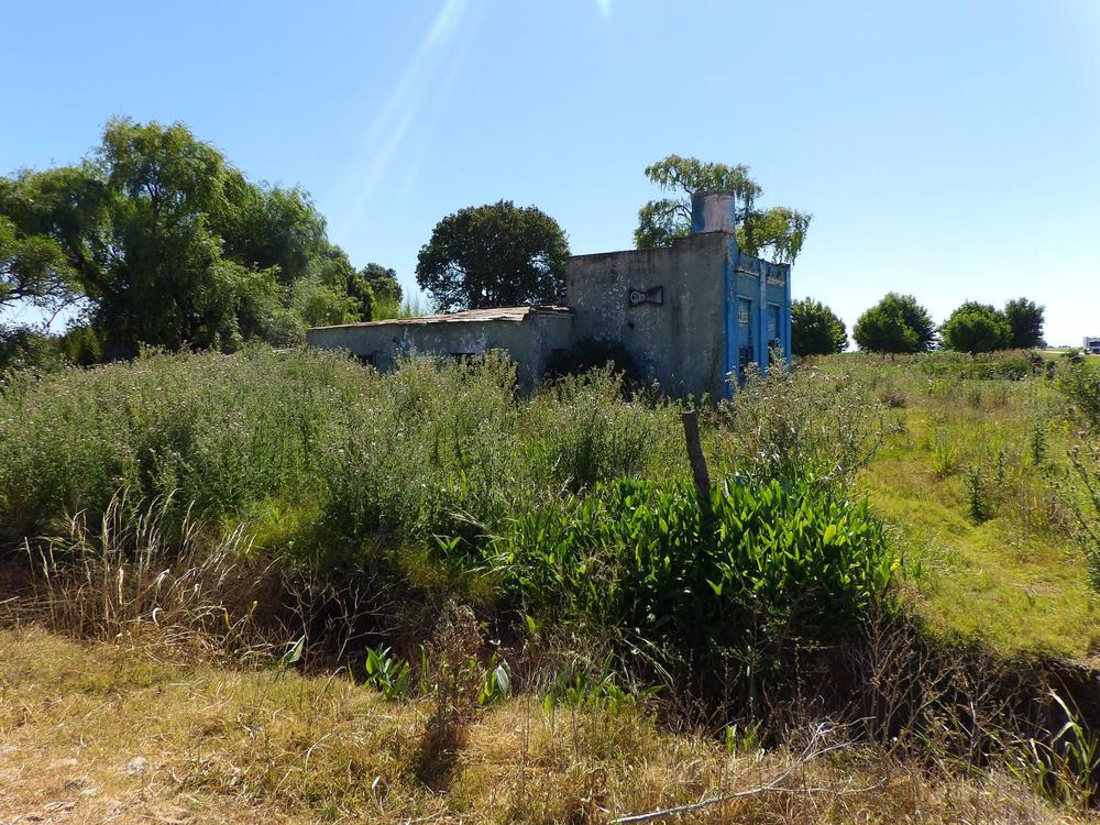 146721213_810858069640511_7885397014022728124_o