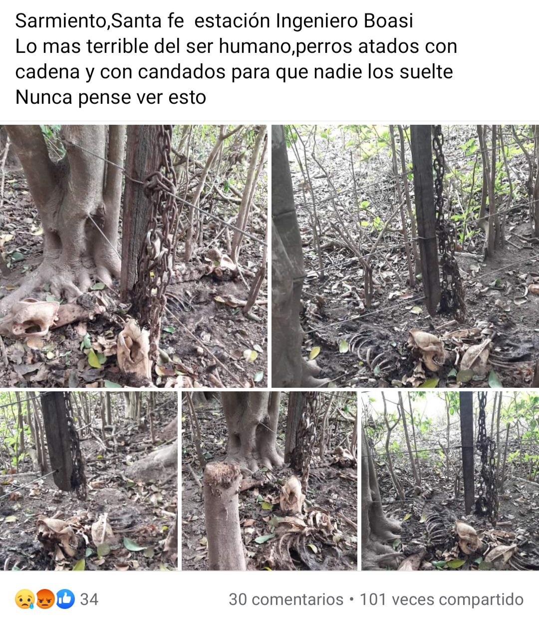 Screenshot_20230425-080612-619