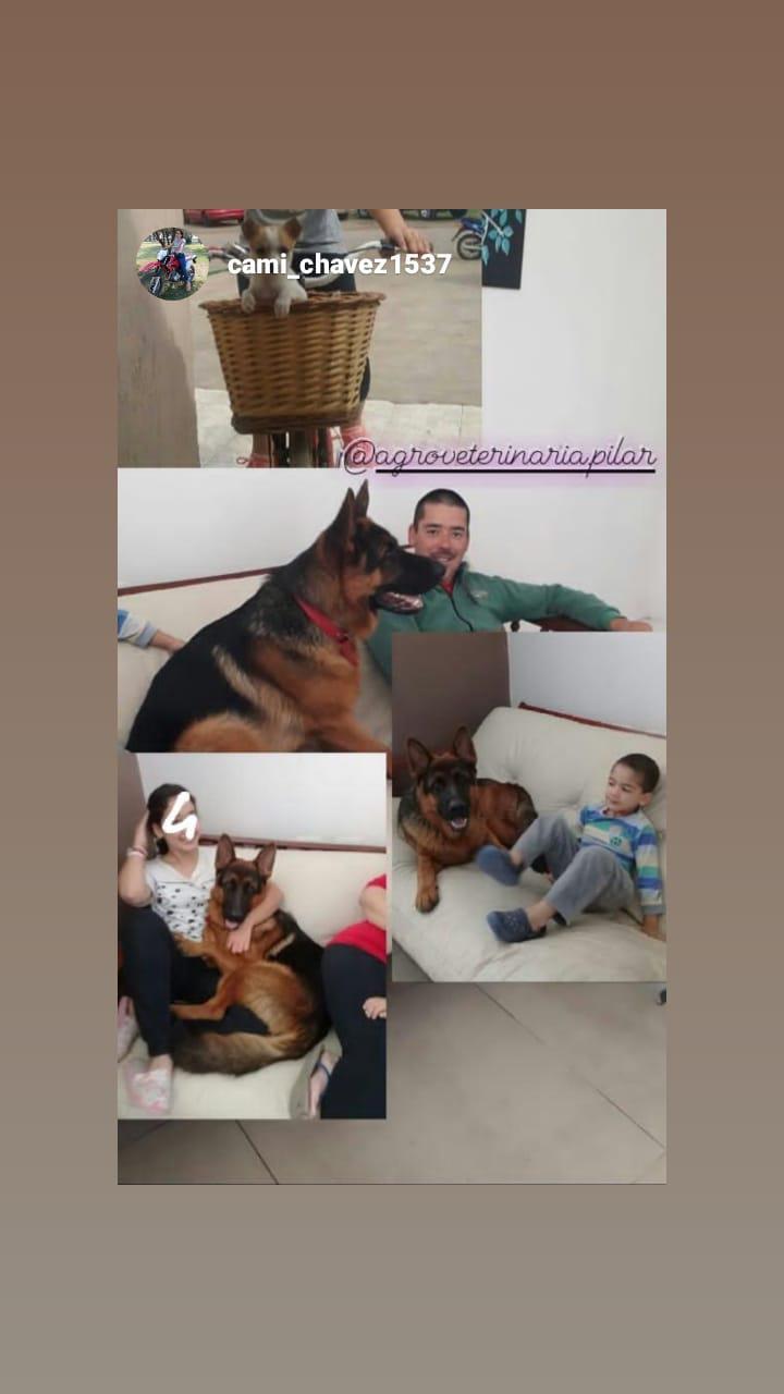 98161526_691258881607095_6048970306905702400_o