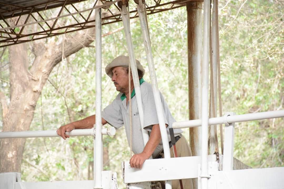 FB_IMG_1681331777751